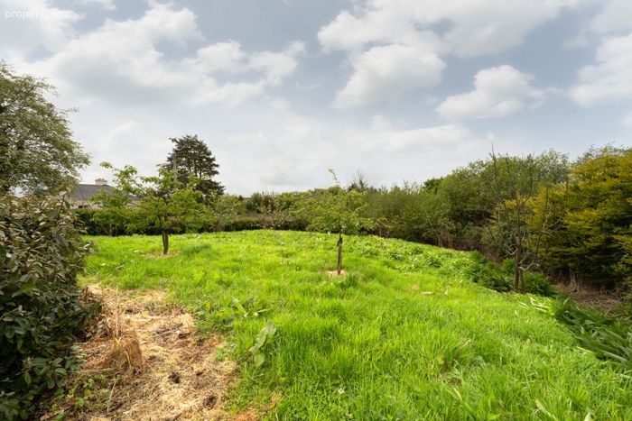 Drimasloyan, Manulla, Manulla, Co. Mayo - Property.ie