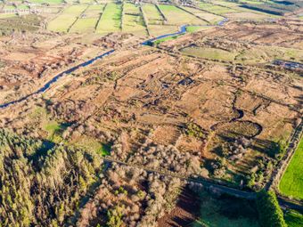 Collindale, Aghalustia, Ballaghaderreen, Co. Roscommon, Lisacul, Co. Roscommon - Image 4