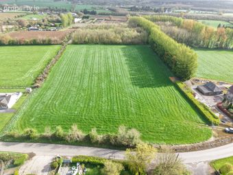 Fiddown Nurseries, Corloughan, Piltown, Co. Kilkenny - Image 2