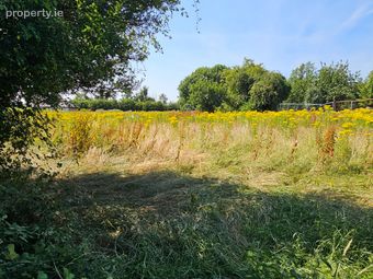 C.0.815 Acres At Kilcloncorkry, Rathangan, Co. Kildare - Image 2