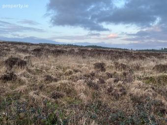 Bohatch, Mountshannon, Co. Clare - Image 2