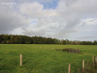 Monivea Demesne, Monivea, Co. Galway - Image 4