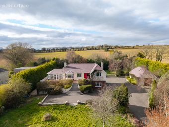 The Oak Tree, Newtown, Ferns, Co. Wexford, Ferns, Co. Wexford