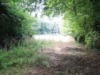 Griston, Ballylanders, Co. Limerick - Image 4