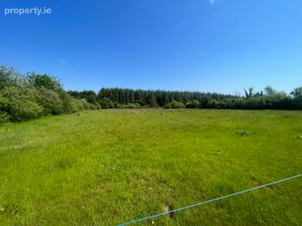 Gurteen , Ballinasloe , Co. Galway, Gurteen, Co. Galway - Image 4