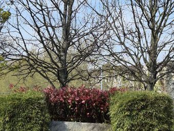77 Charlesland Park, Greystones, Co. Wicklow
