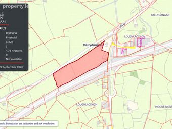 Loughlackagh (lakelands), Ballydangan, Co. Roscommon - Image 3