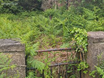 Garrahadoo, Killorglin, Killorglin, Co. Kerry - Image 2