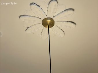 21 Baggot Street Lower, Dublin 2 - Image 4