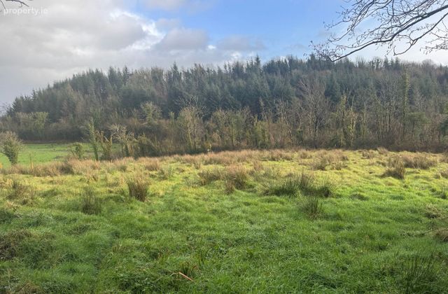 Aghaleague, Ballinamore, Co.leitrim, Ballinamore, Co. Leitrim - Click to view photos