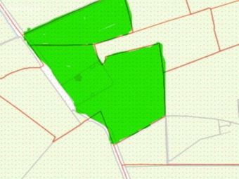 C.4.037 Ha At Cloncourse, Ballaghmore, Co. Laois, Borris-in-Ossory, Co. Laois - Image 2