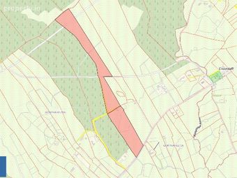 Gortnaheltia, Glenhest, Newport, Co. Mayo - Image 4