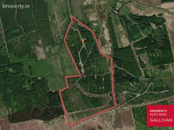 Forestry Land, Cappagh, Kilflynn, Co. Kerry, Kilflynn, Co. Kerry - Image 3