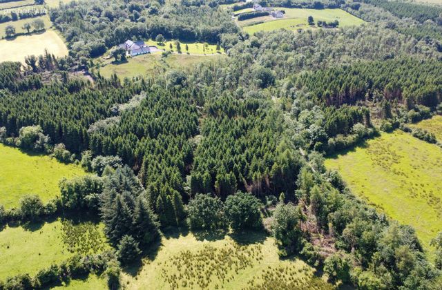 Drumroragh, Crosserlough, Co. Cavan - Click to view photos