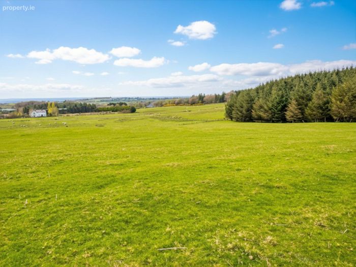 Land c. 20.16 acres/ 8.16 Ha., Punchestown Upper, Kilteel, Co. Kildare ...