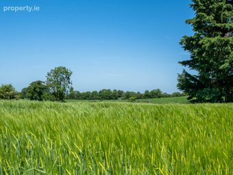 Rathdrum House, Ballycommon, Tullamore, Co. Offaly, Derrygrogan, Co. Offaly - Image 2