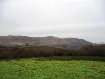 Ballyteige, Glenhest, Newport, Co. Mayo - Image 4