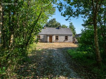 Derrylow, Boyle, Co. Roscommon, Rn3682f (for Id), Croghan, Co. Roscommon - Image 2