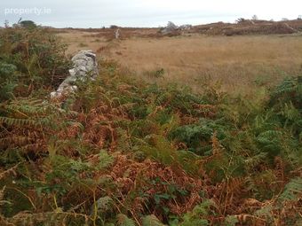Ballywilliam, Spiddal, Co. Galway - Image 2