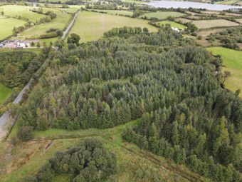 Forestry At Rosduff, Aughnacliffe, Co. Longford - Image 4