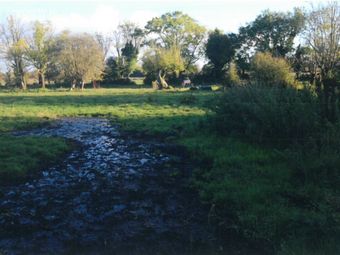 Nure, Cornafulla, Co. Roscommon