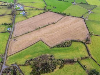 Lands At Lisnacush, Lanesborough, Co. Longford, Lanesborough, Co. Longford - Image 2