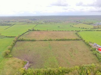 Land At Springfield, Killoran, Co. Galway - Image 4