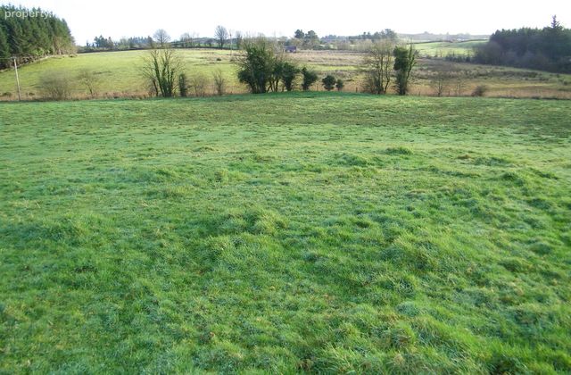 Tully, Loughglynn, Castlerea, Co. Roscommon - Click to view photos