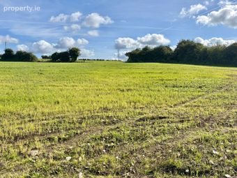 Ballinlough, Ballyroan, Co. Laois - Image 3