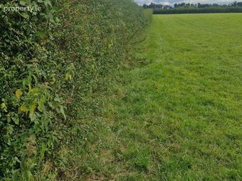 Coolcarta West, Eyrecourt, Ballinasloe, Co. Galway, Laurencetown, Co. Galway - Image 2