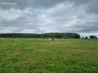 Whitethorn Equestrian Centre, Knocknasnaa, Abbeyfeale, Co. Limerick - Image 2