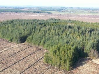 Clooncoose North, Castlerea, Co. Roscommon
