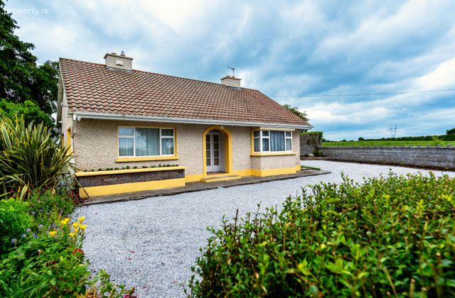 Thomastown Demesne, Rath, Rath, Co. Offaly - Click to view photos