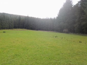 Shielstown, Knockananna, Co. Wicklow