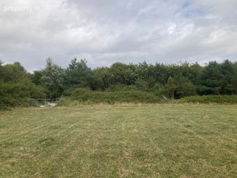 C. 8.78 Hectares (21.70 Acres) At Nicharee, Duncormick, Co. Wexford - Image 5
