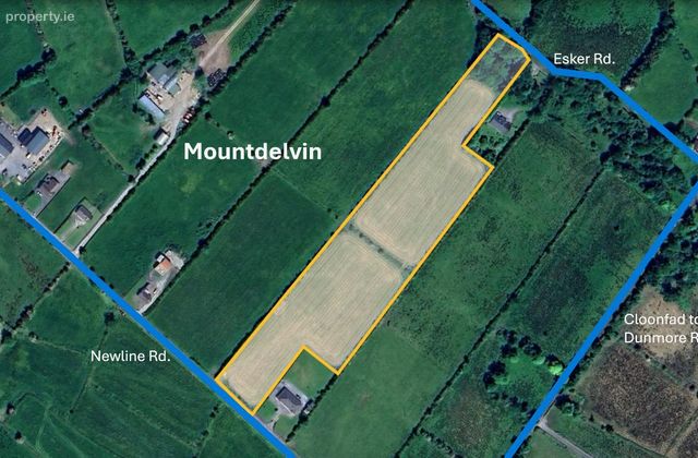 Mountdelvin, Cloonfad, Co. Roscommon - Click to view photos