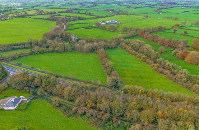 22.30 Acres At Castle Matrix, Rathkeale, Co. Limerick, Rathkeale, Co. Limerick - Click to view photos