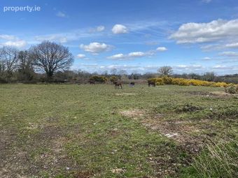 Knockballiniry, Goatenbridge, Ardfinnan, Co. Tipperary, Ardfinnan, Co. Tipperary - Image 4