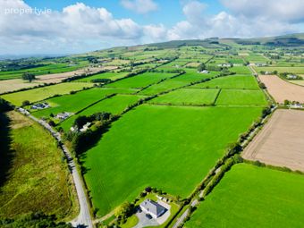 Monamolin (c. 44 Acres), Rathnure, Co. Wexford - Image 3