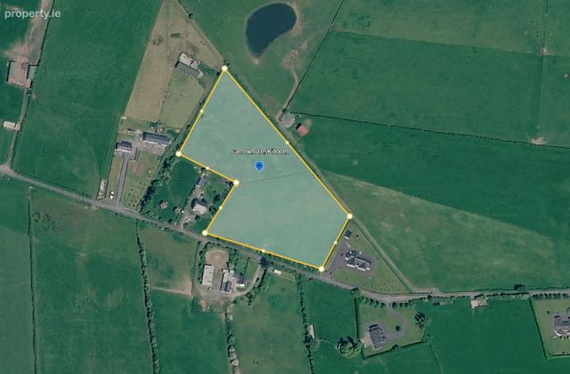 Carrownure, Kiltoom, Athlone, Kiltoom, Co. Roscommon - Click to view photos