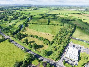 C. 43 Acres, Turtulla / Clongour, Thurles, Co. Tipperary, Thurles, Co. Tipperary - Image 3