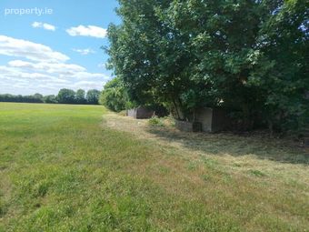 Farmhouse On 9.1 Acres, Kilmog, Kilkenny, Cuffesgrange, Co. Kilkenny - Image 4