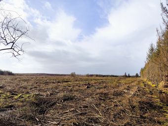 Shragh, Kilrush, Co. Clare - Image 4