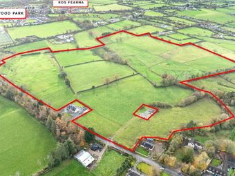 Glenstal Cross, Murroe, Co. Limerick, Murroe, Co. Limerick - Image 2
