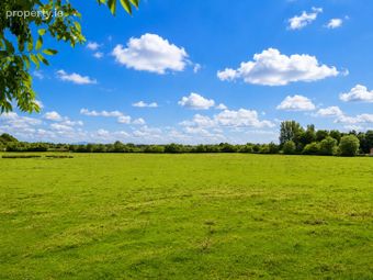 C. 15.36 Acres, Newtown, Shanacloon Lane, Kildare, Co. Kildare - Image 5