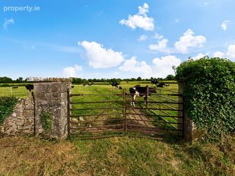 19 Acres, Ballyburly, Rhode, Co. Offaly, Rhode, Co. Offaly - Image 3