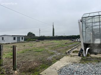 Ralph Hill, Ralph, Fethard-On-Sea, Co. Wexford - Image 3