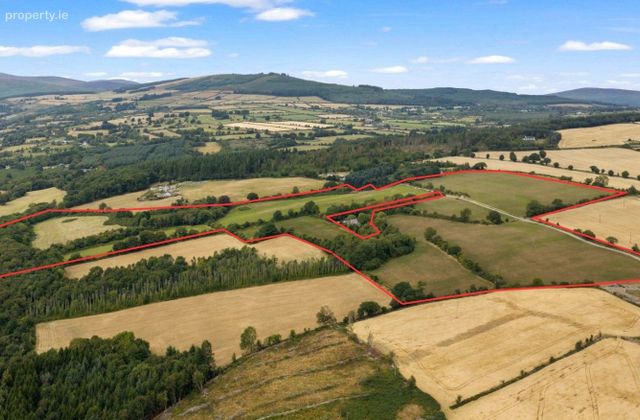Garrymore Lower,rathdrum,co. Wicklow, Rathdrum, Co. Wicklow - Click to view photos