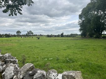 Belleville, Monivea, Co. Galway - Image 5