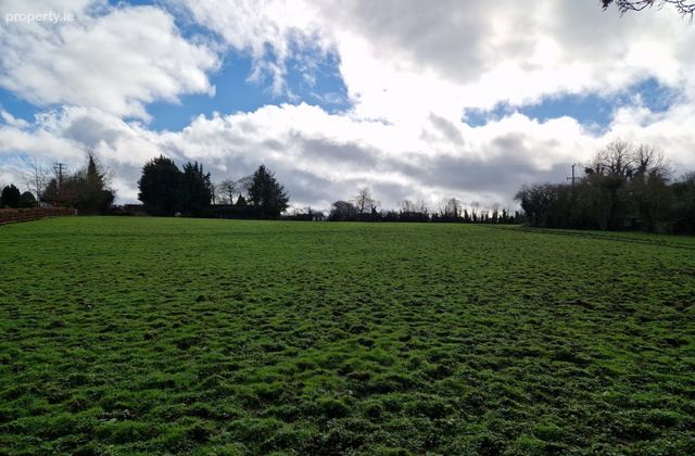 Graigues, Robertstown, Co. Kildare - Click to view photos